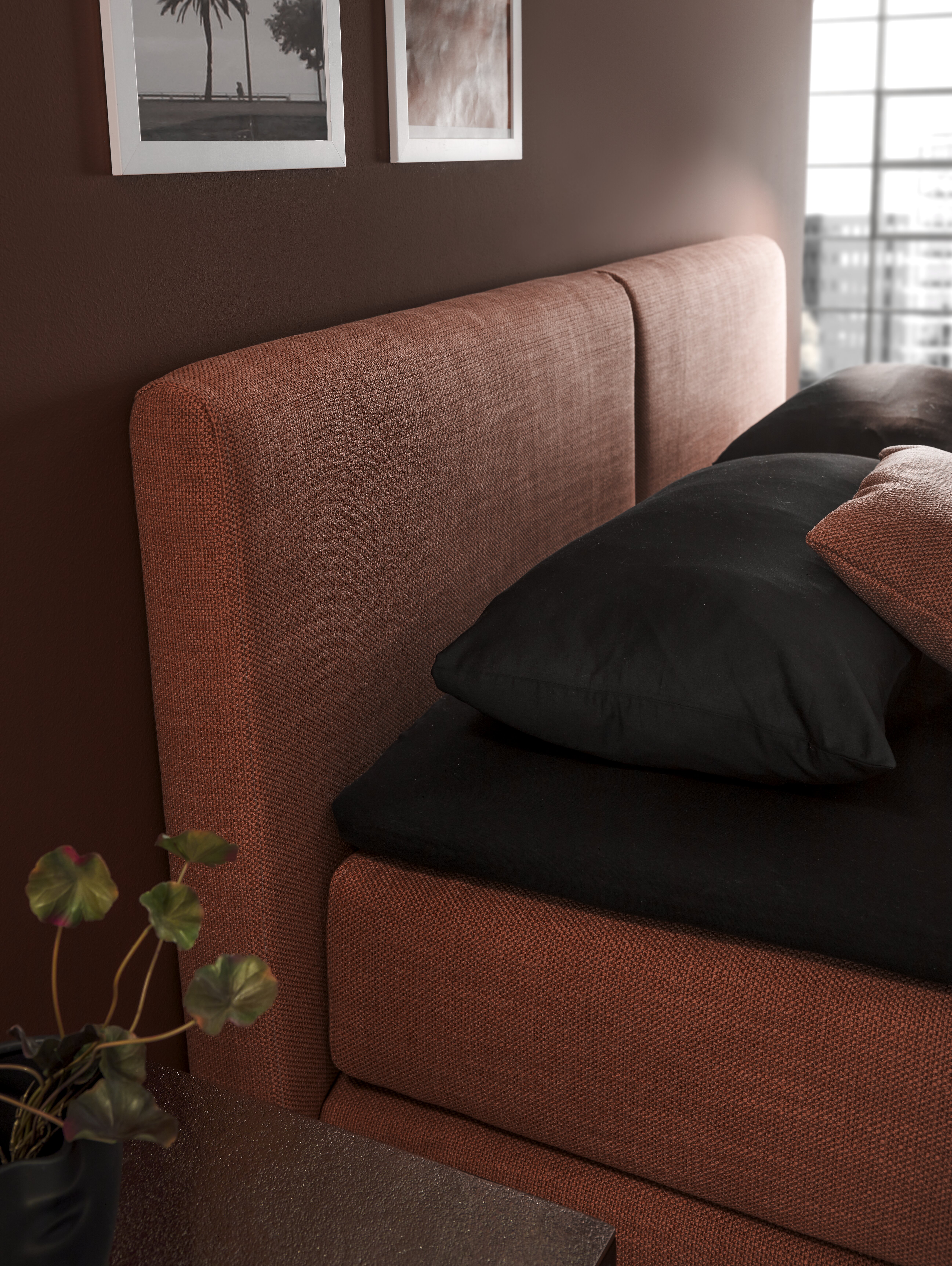 FEMIRA Boxspringbett FeMyDream 1 - Kopfteil 1 - Liegefläche 160x200cm