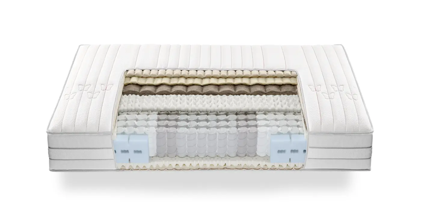 Roviva Matratze dream-away Evos medium